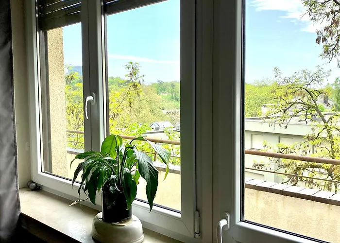 Pensjonat Rue Des Glacis Limpertsberg